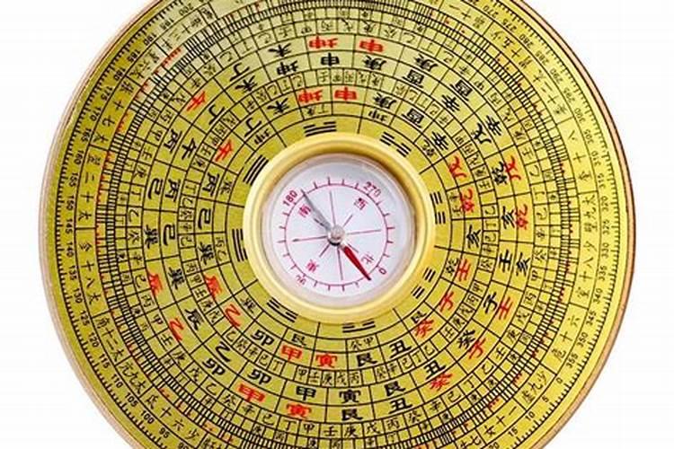 招财猫鱼。我买回来两天了。 就是不吃东西。怎么办？