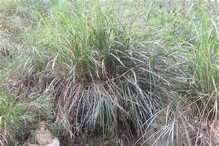 办公室风水知识,办公室风水学的讲究与禁忌
