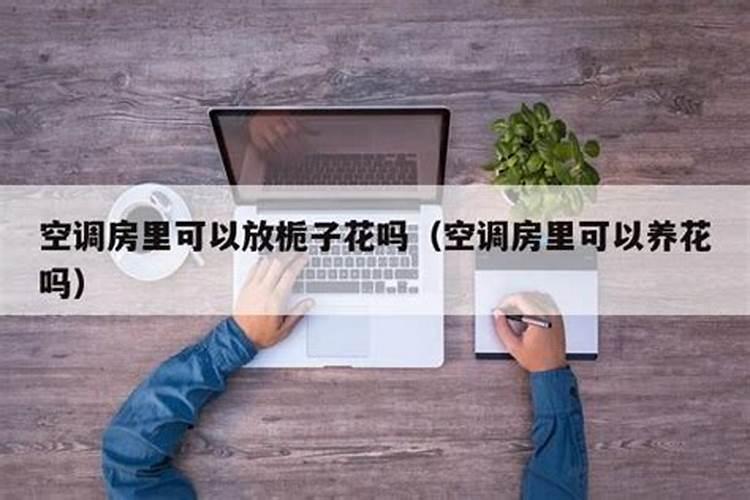 家里为什么不能放干花,风水不好还会让空气干燥