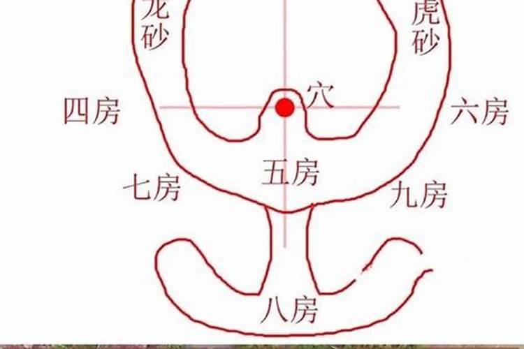 玄空的三元龙表