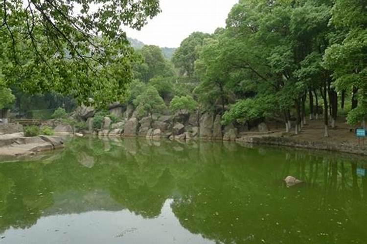 风水师给人看风水时,为何手里都会拿着"寻龙尺"？