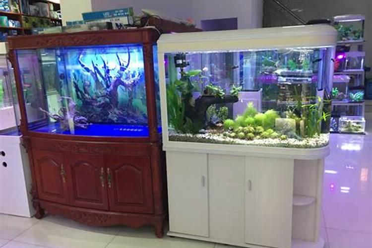 门面店放鱼缸最佳位置