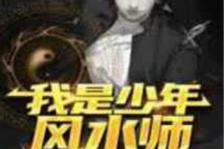 爷爷是风水师主角姓陈的小说
