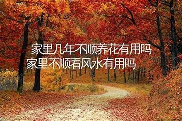 16种风水极差的住宅 避免这些住宅风水