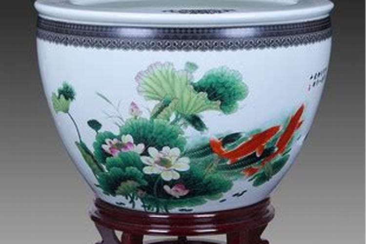 陶瓷缸养什么鱼风水好