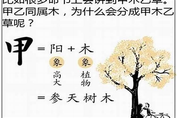 奇门风水:“发三奇之水,收四吉之砂”
