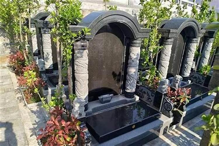 坟前种什么树不好