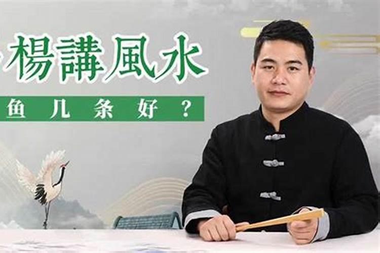 风水有关系2023完整版,风水有关系2023综艺巴士