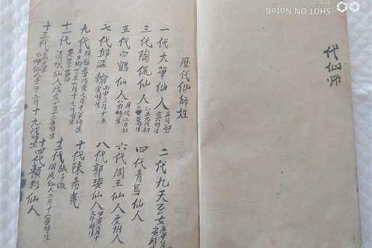 办公室要放什么植物比较好？