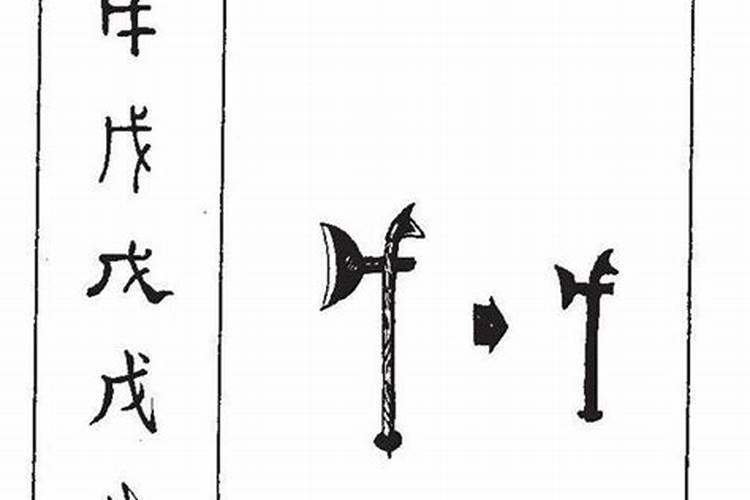 怎样看罗盘罗盘怎样运行￼