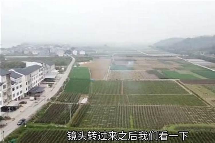 下葬后男左女右埋反了怎么处理