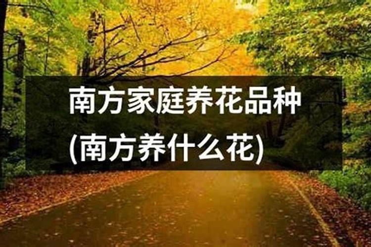 客厅的西南方如何布置