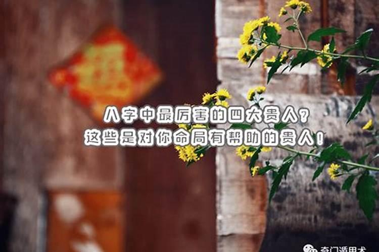 在风水中,“双星会坐”和“双星会向”是什么意思？