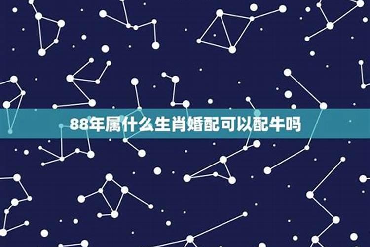 我是88年住几楼吉祥