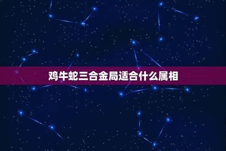 蛇鸡牛三合什么意思