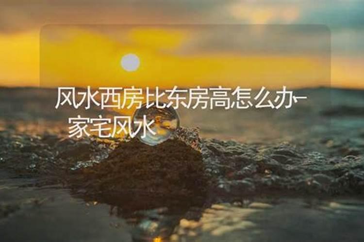 金蟾如何供奉