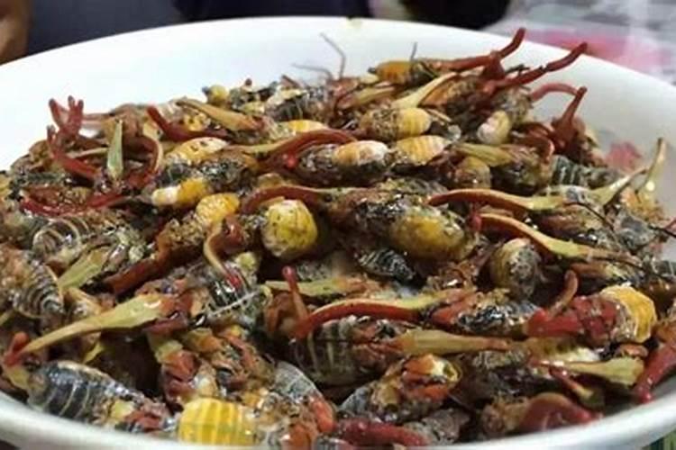 家里有白公鸡对风水好吗,切不可食用