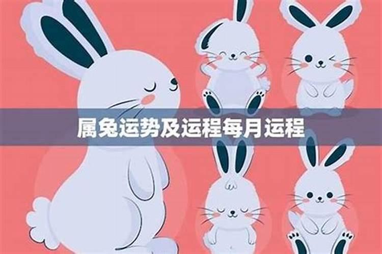 2023九宫飞星风水及化解,兔年东北方为破财位