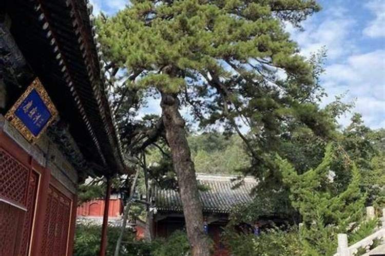 故宫是谁修建的(故宫第一位皇帝是谁)