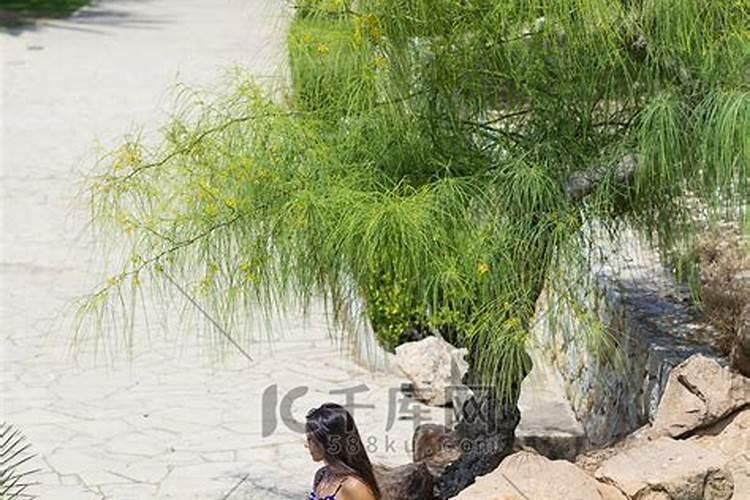 住宅北面有池塘在风水上行吗