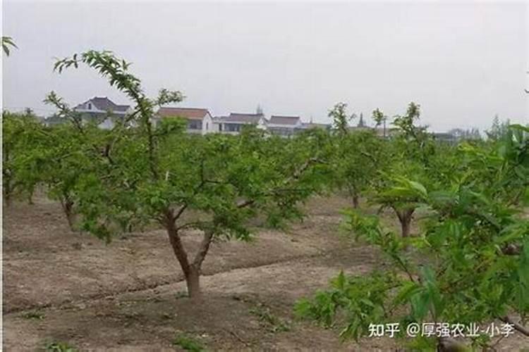 单身公寓的风水禁忌 单身公寓益晒你风水禁忌
