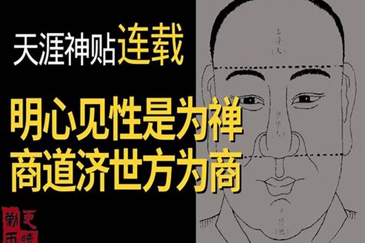 禅海商道出书了吗