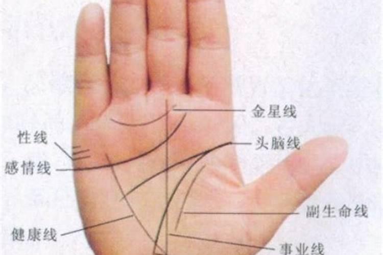 看手掌真的能看出来这个人的运势吗？