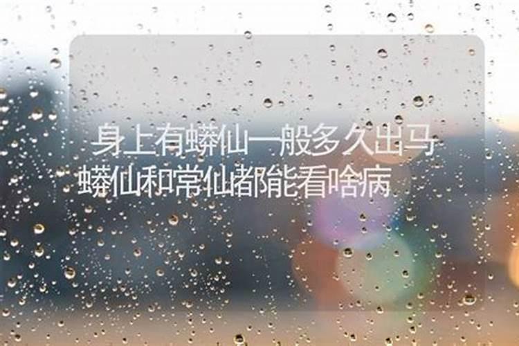 大门口有条蛇是什么兆头？