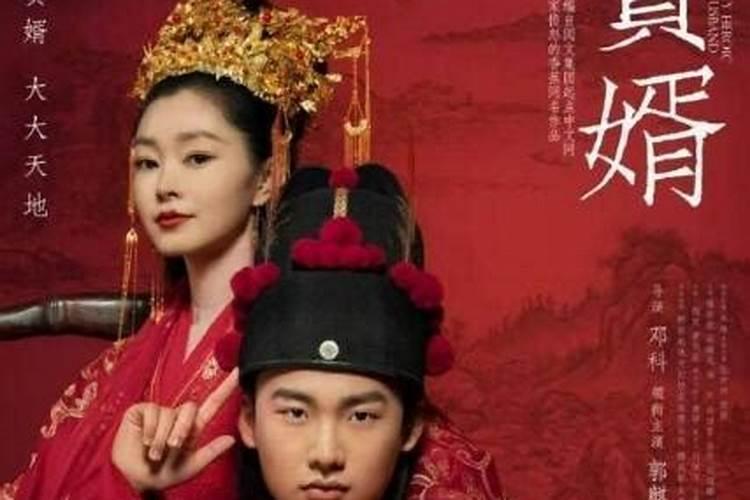 赘婿坐轮椅的叫什么