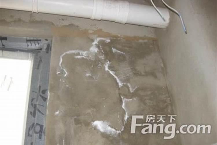 转运戴什么最旺财