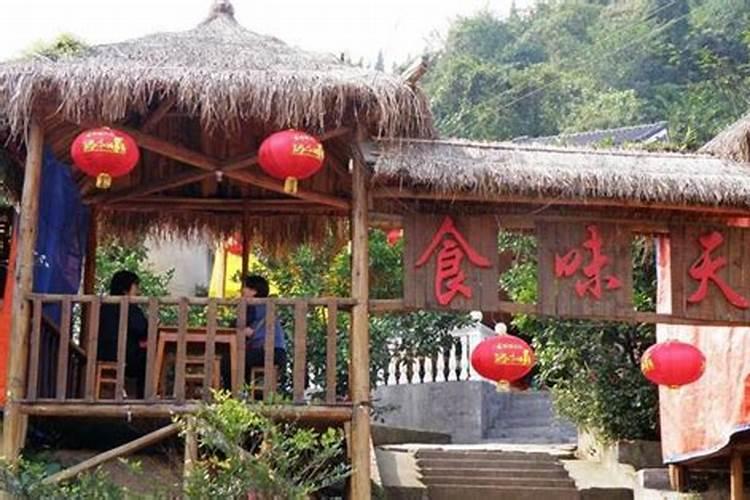 办公桌后面放什么树好