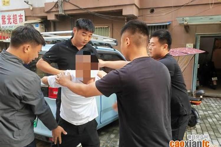 《风水大师杨救贫》txt全集下载