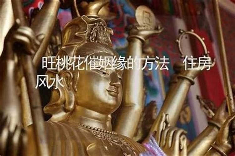 旺姻缘招桃花运的风水 催桃花运的风水妙招