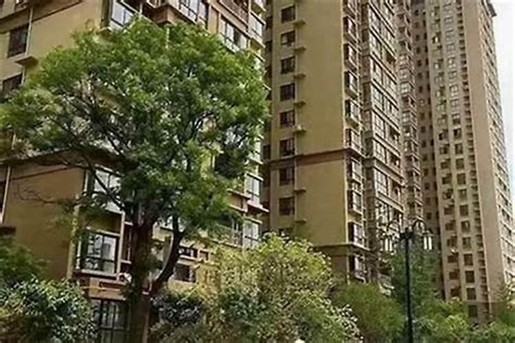 我家小区住在庙宇正东面好不好