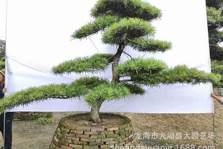 家装的风水装修小常识有哪些