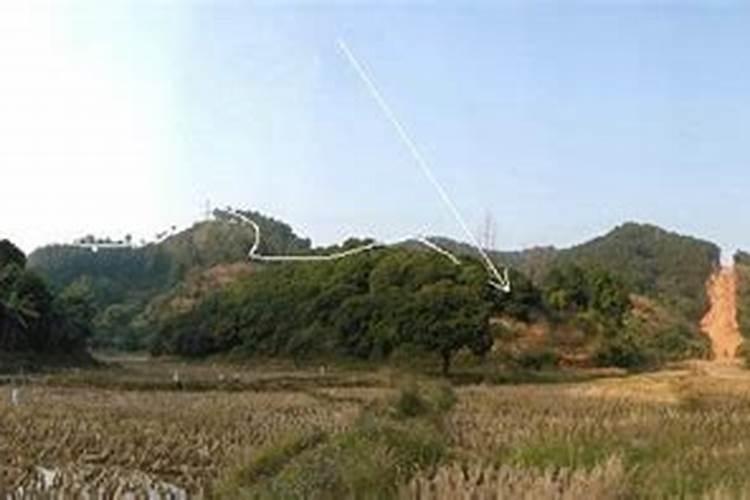 黄冲天是做什么工作的？