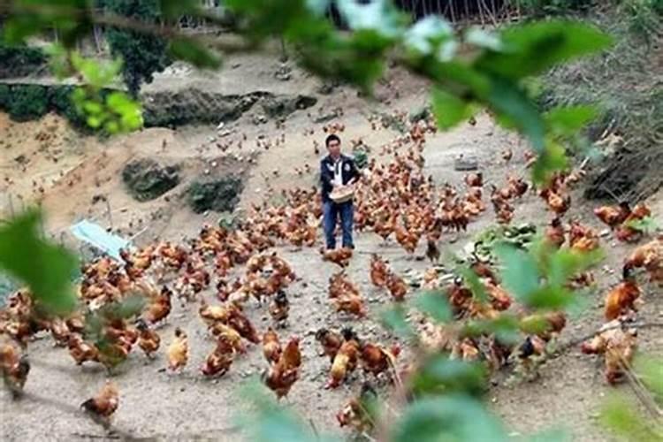 相建一个养殖厂用不用找个风水师算算