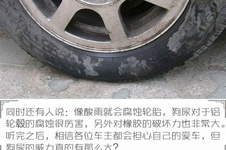 谈项目轮胎爆胎风水怎么说