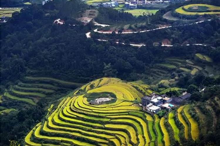 金圭塘地址在哪里？