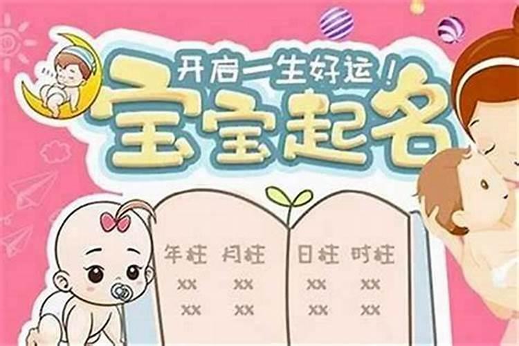 养殖越来越难干 未来养殖业该怎么过
