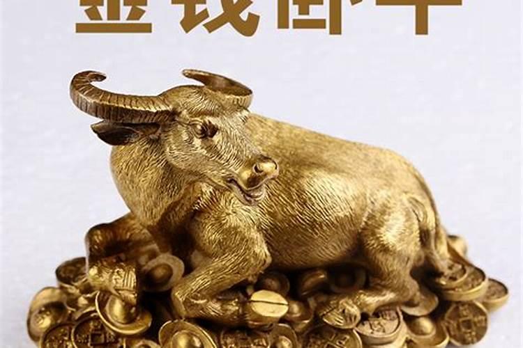 水牛头骨可以挂家里吗