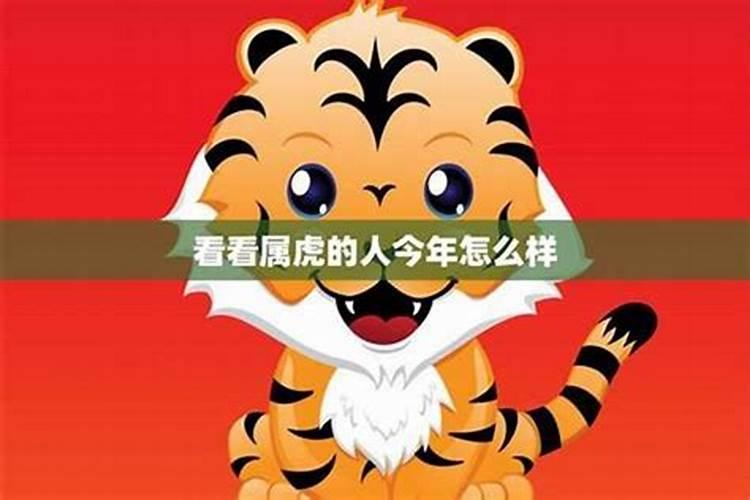 房子北面种什么树好