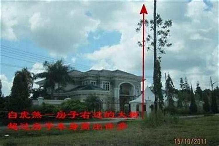 算命、风水是迷信吗？？