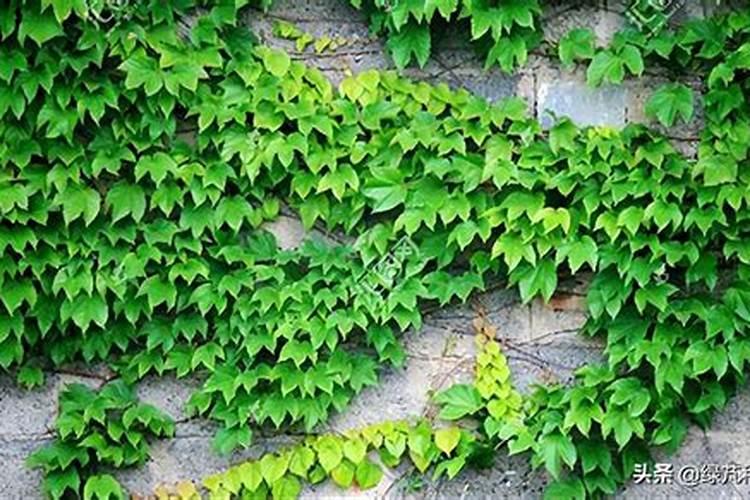 请大家推荐一些大师们建的经典小建筑