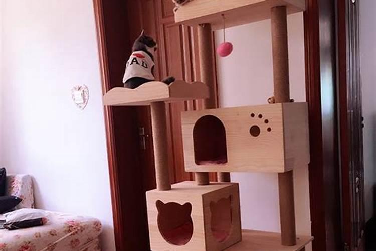财位上放猫爬架好吗？