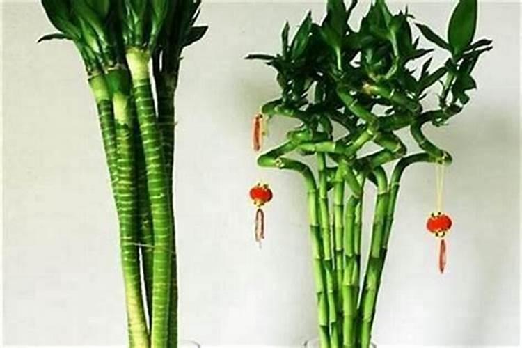 竹塔13层寓意