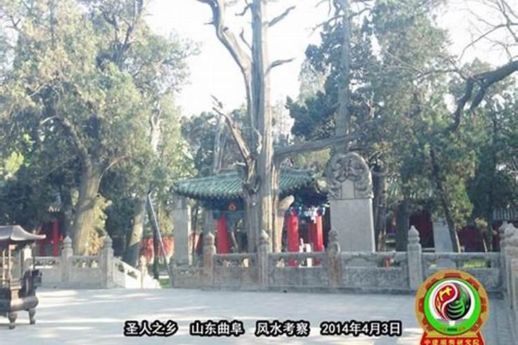 浙江省风水研究院院长简介
