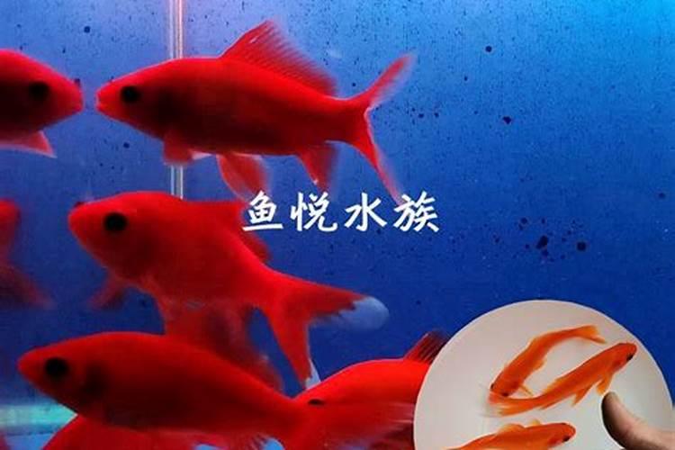 小区最后一排房子好吗