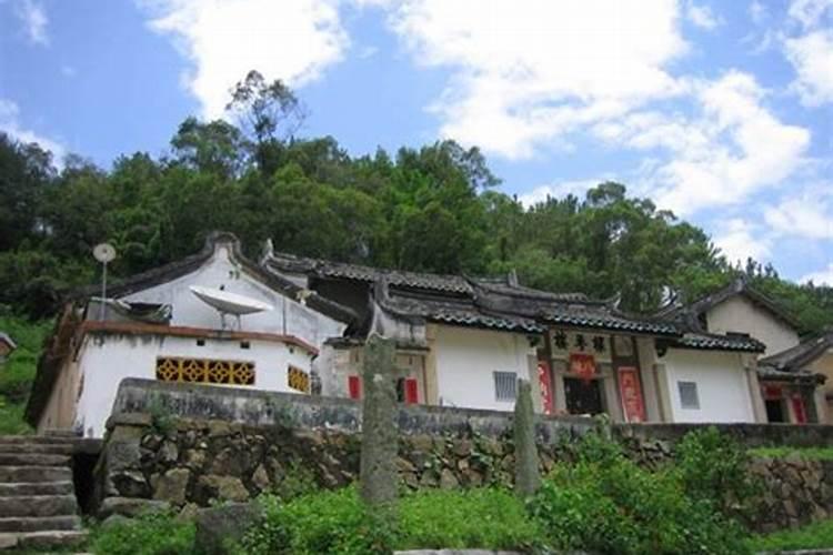 仙人球放在办公室里,在风水方面有什么不好的吗？