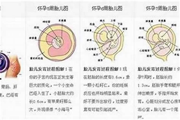 有没有胎停是因为家里风水不好的